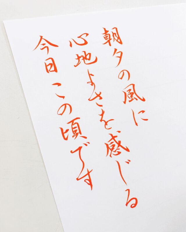 筆ペン🖋

朝夕の風に
心地よさを感じる
今日この頃です

#書家鮎美 
#手書き #書道好きな人と繋がりたい #美文字 #美文字レッスン #書道教室 #習字教室 #書道 #書 #習字 #手書きpost #きれいな字 #書家  #書家鮎美教室 #美文字になりたい #福岡書道家 #レッスン #筆ペン好きな人と繋がりたい  #福岡 #大人の習い事 #実用書 #福岡書道教室 #天神 #手書きツイート  #福岡市書道教室 #福岡書道 #行書 #筆ペン #ぺんてる #ぺんてる筆ペン